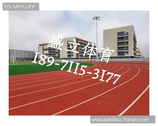足球场天然草坪价格分析及影响因素探讨